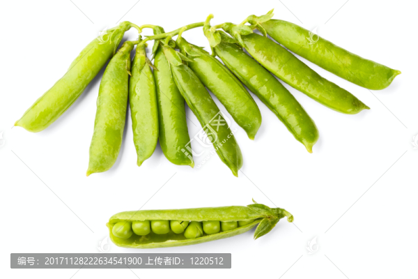 食物