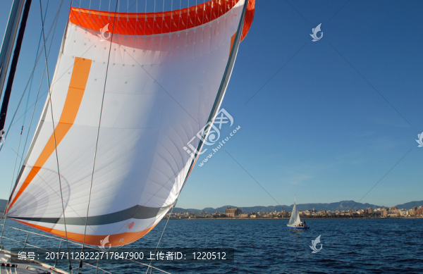 帕爾馬大教堂向海