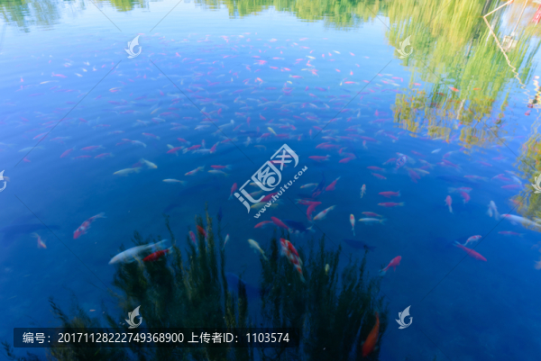 濟(jì)南百花洲,（15）