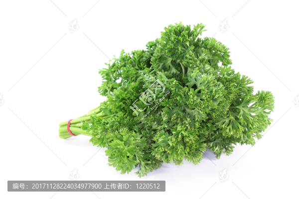 西芹