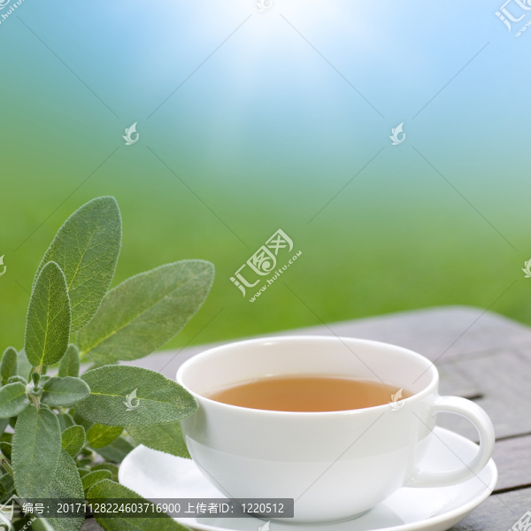 在花園里供應(yīng)圣人茶