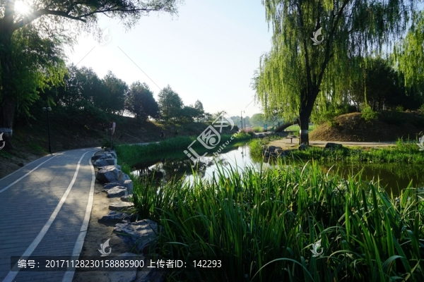 圓明園之夏