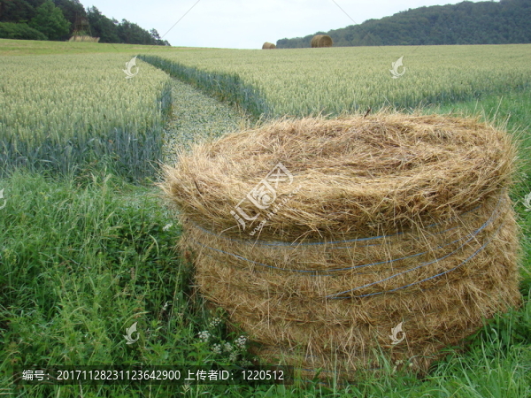 普拉特滾動(dòng)