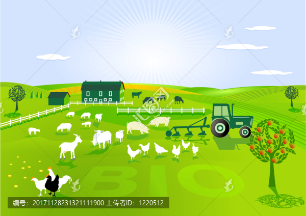 有機(jī)農(nóng)業(yè)