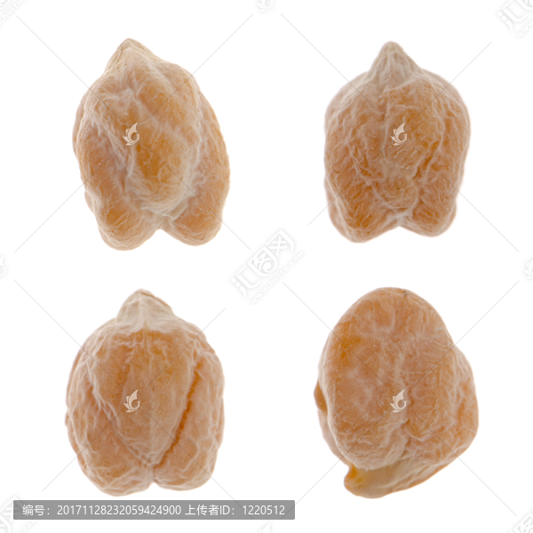食物