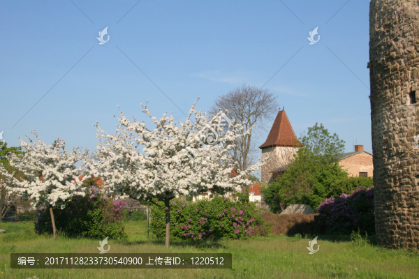 stadtmauer在sta?furt