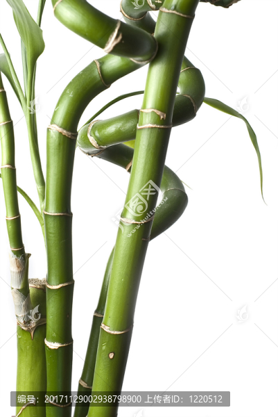 隔離的