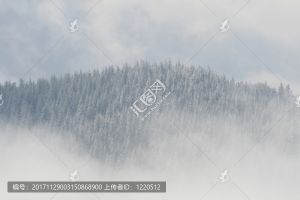 冬天在阿爾卑斯山