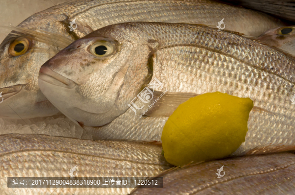 食物