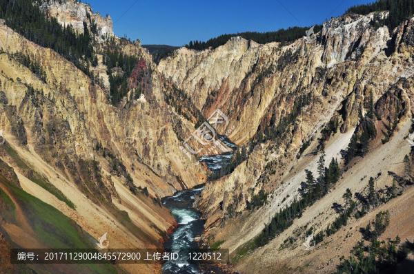 山