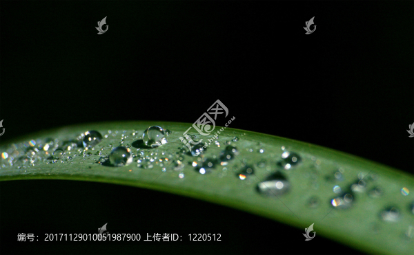 防風雨的