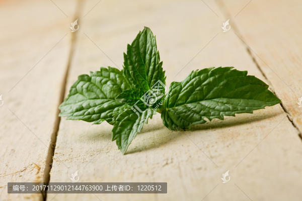 葉子