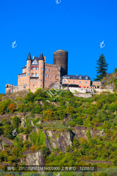 burg,katz