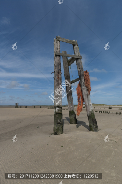 其余從wangerooger,osthafen