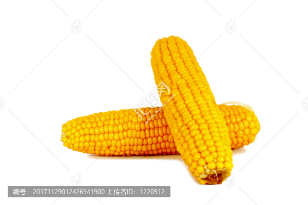 食物