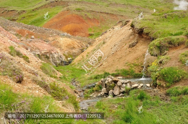 巴赫在山谷里