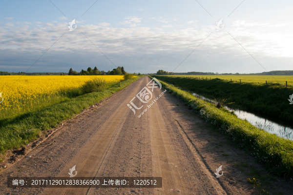 地平線
