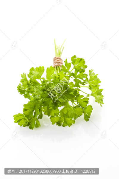 食物