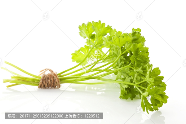 食物