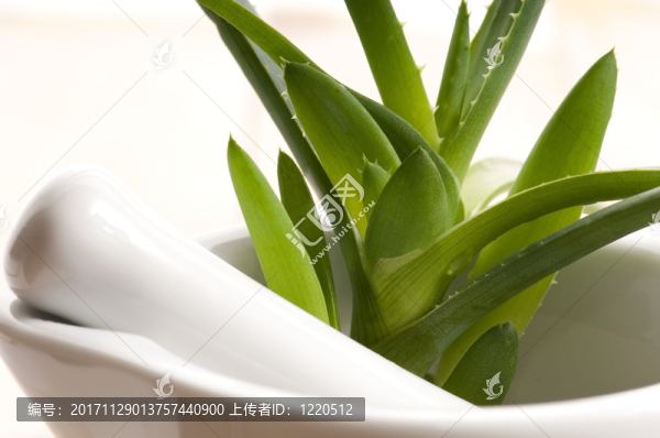 健康狀況