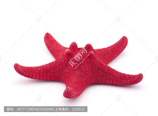 物體