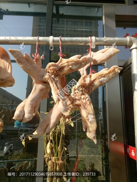 咸豬腳
