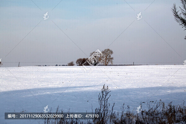 東北,黑土地,冬天,白雪,飄雪