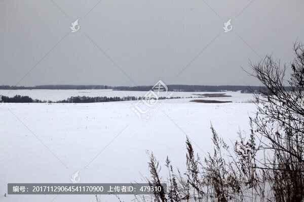 東北,黑土地,冬天,白雪,飄雪