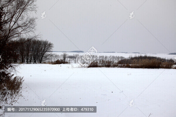 東北,黑土地,冬天,白雪,飄雪