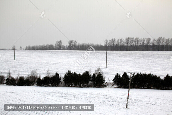 東北,黑土地,冬天,白雪,飄雪