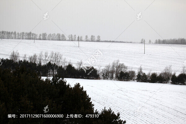 東北,黑土地,冬天,白雪,飄雪