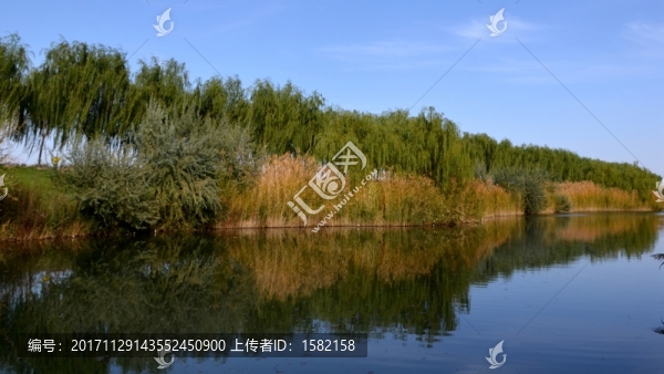 甘肅高臺國家級濕地公園08