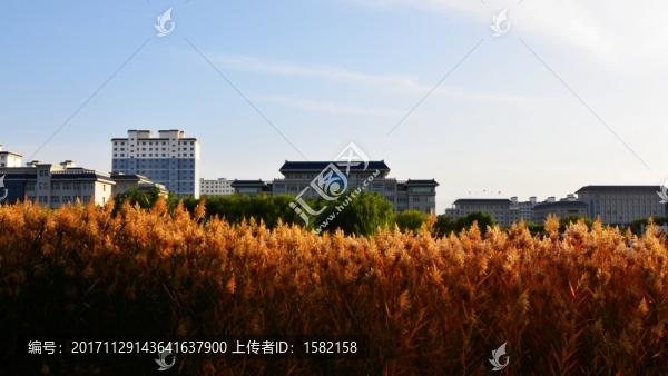 甘肅高臺國家級濕地公園