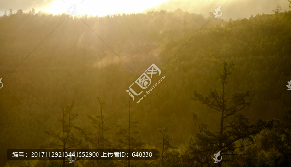 林海陽光