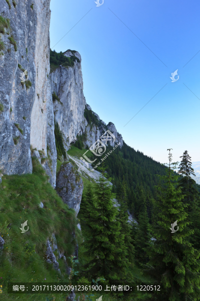 旅行