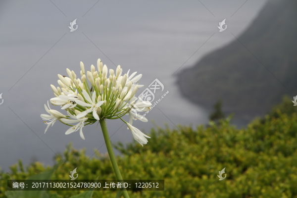 海岸線