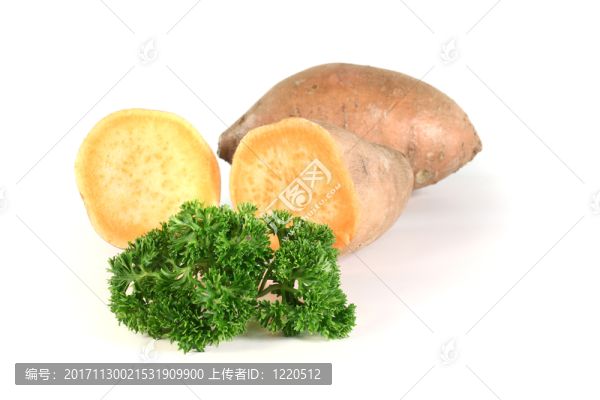 香菜紅薯