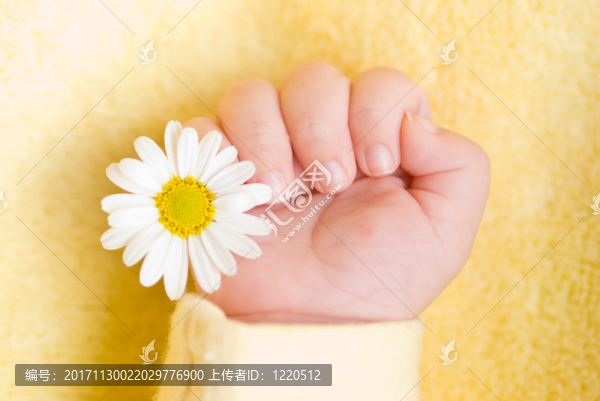 手