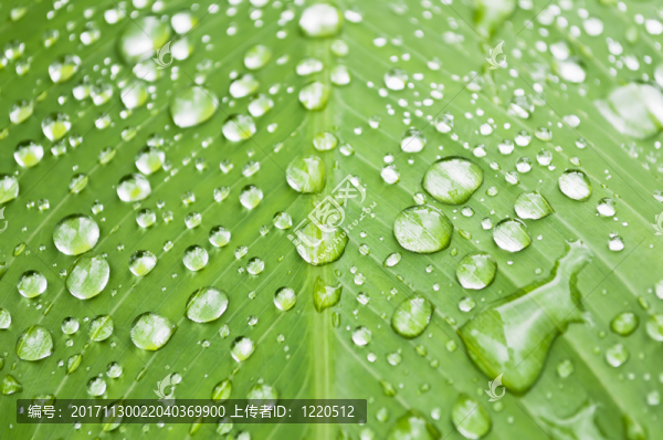 水滴