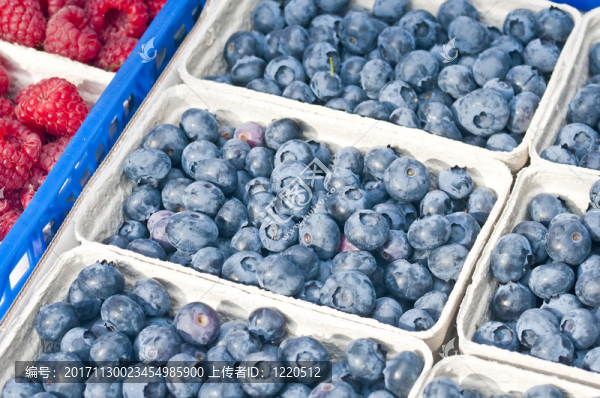 blaubeeren