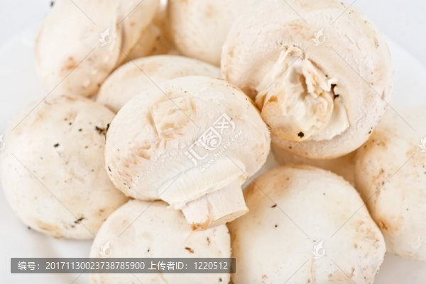 食物