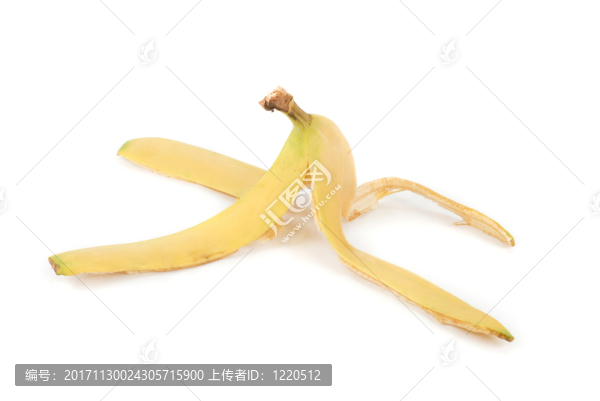 食物
