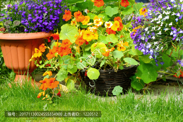 花