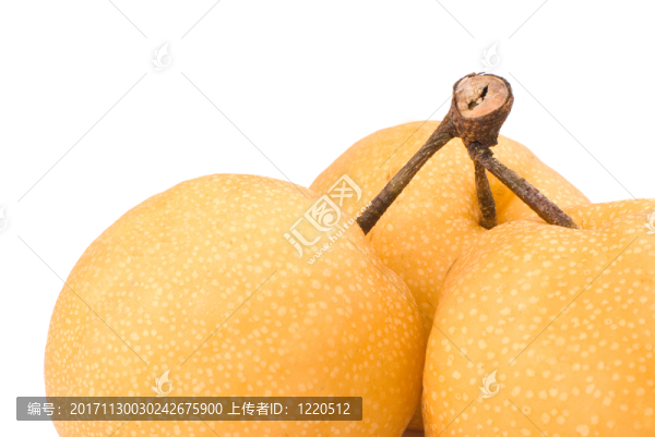 食物