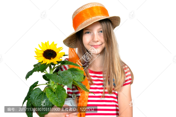 女孩花向日葵