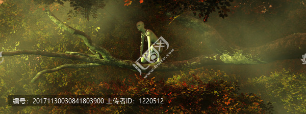 美麗的童話與十一