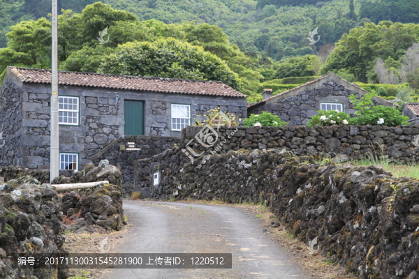 皮科,-,亞速爾群島