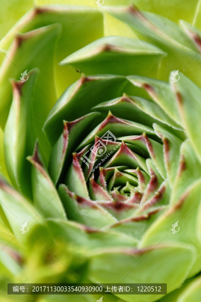 沙漠
