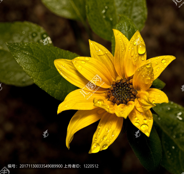 雨后