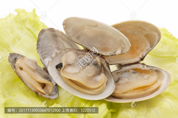 海產(chǎn)食品